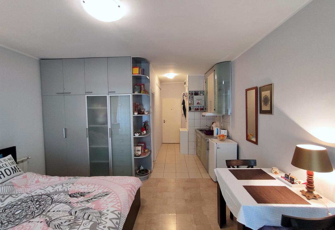 City Center Lovely Studio Apartment Belgrado Buitenkant foto